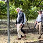 Abinader se declara Team Fruta