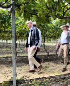 Abinader se declara Team Fruta