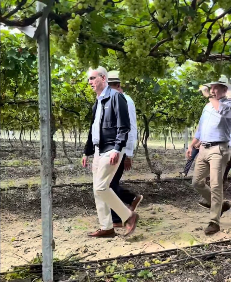 Abinader se declara Team Fruta