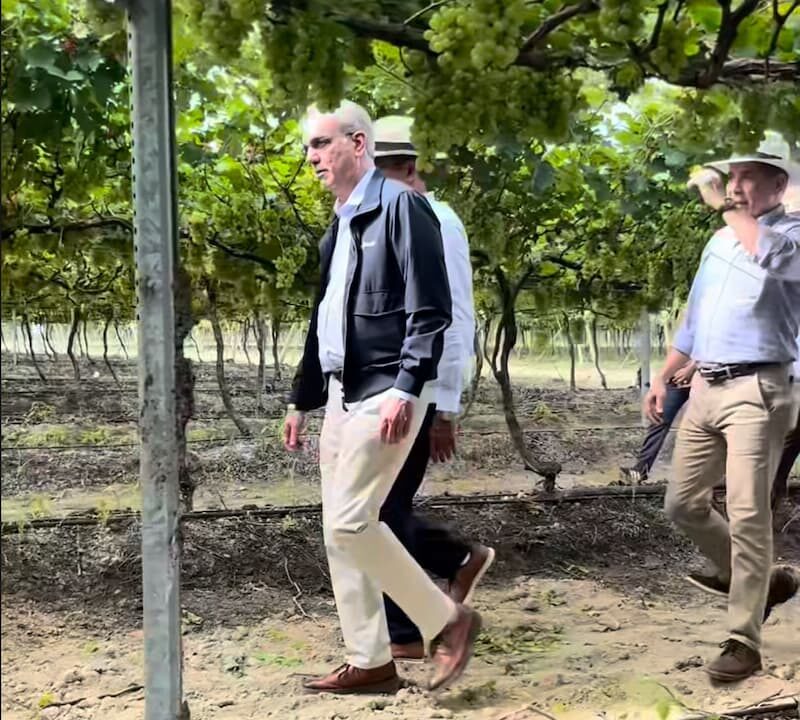 Abinader se declara Team Fruta