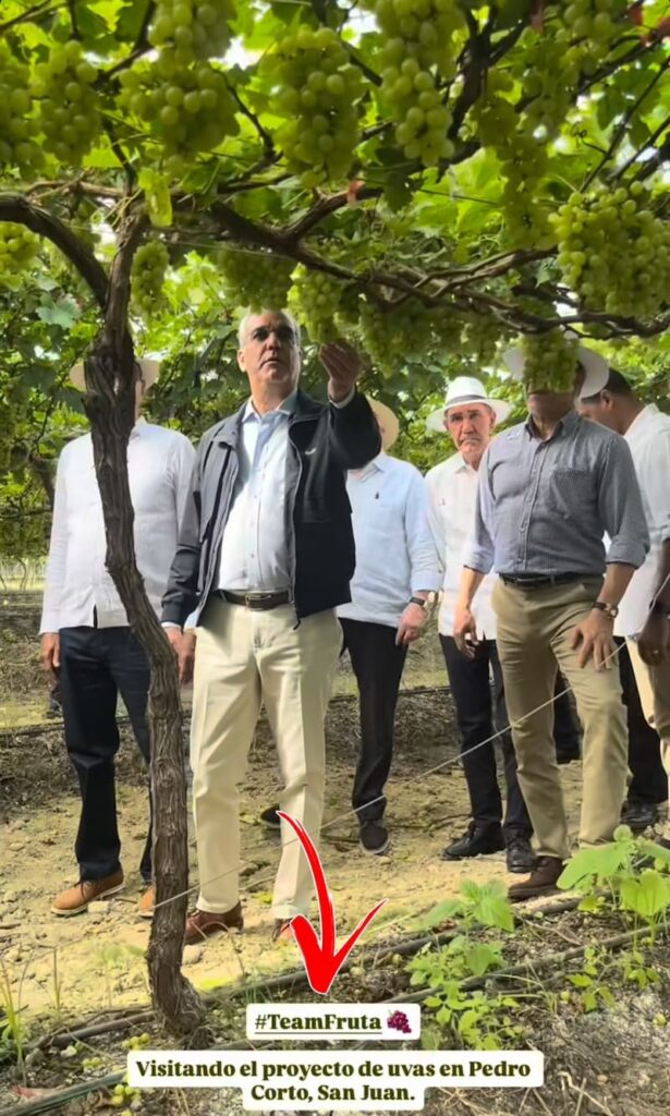 Presidnete de La República supervisando uvas