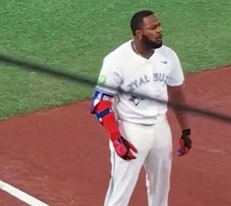 Vladimir Guerrero Jr